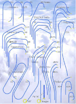 Angiographic Catheter