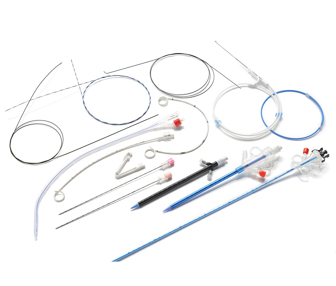 Zebra Guide Wires